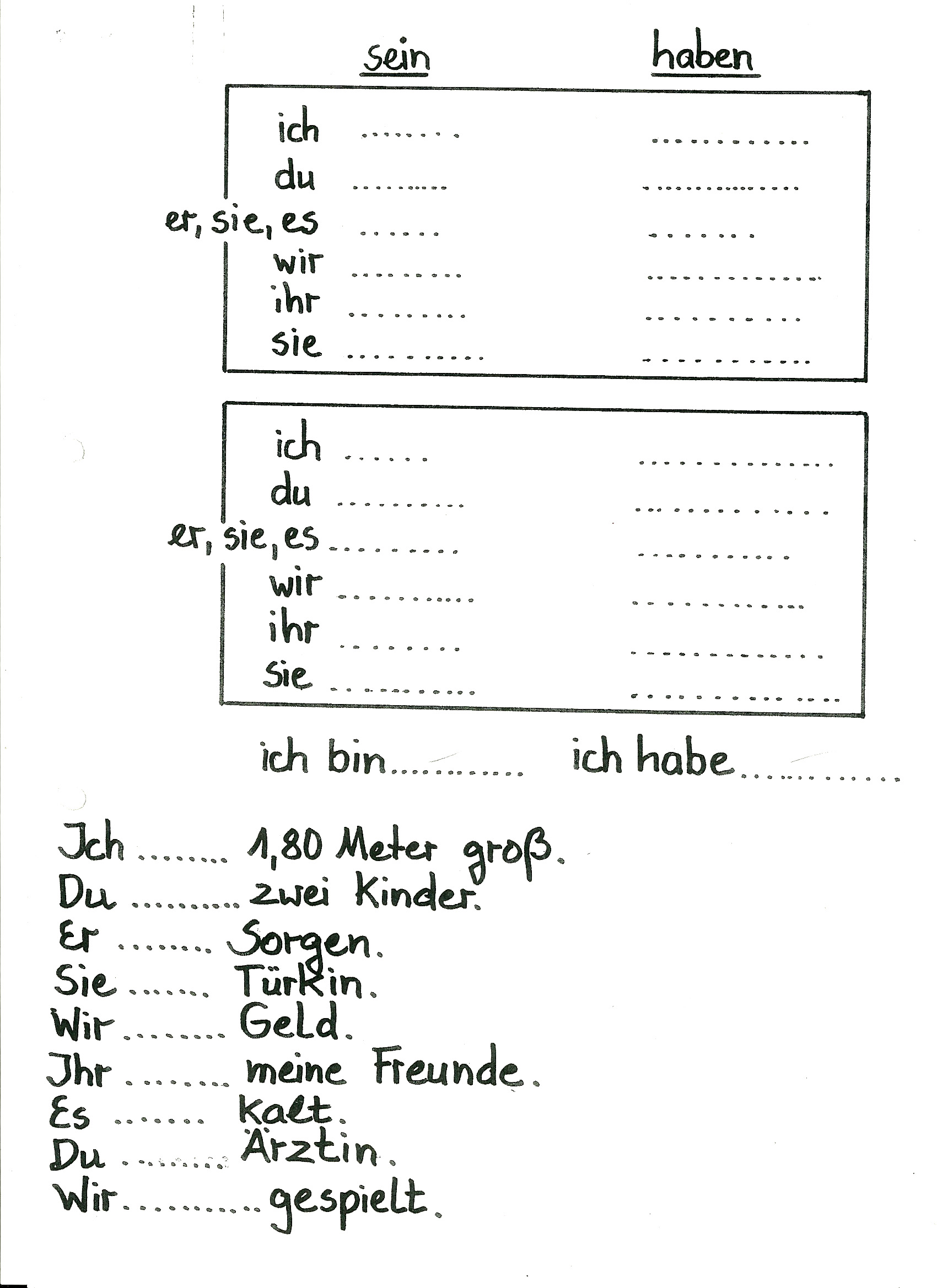 sein und haben