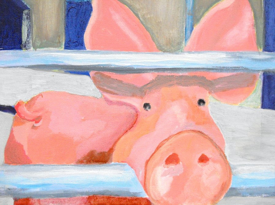 Schwein gehabt Bild